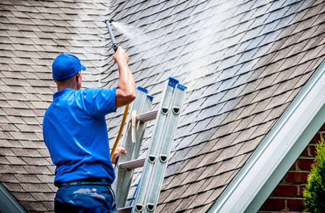 davie roof cleaning